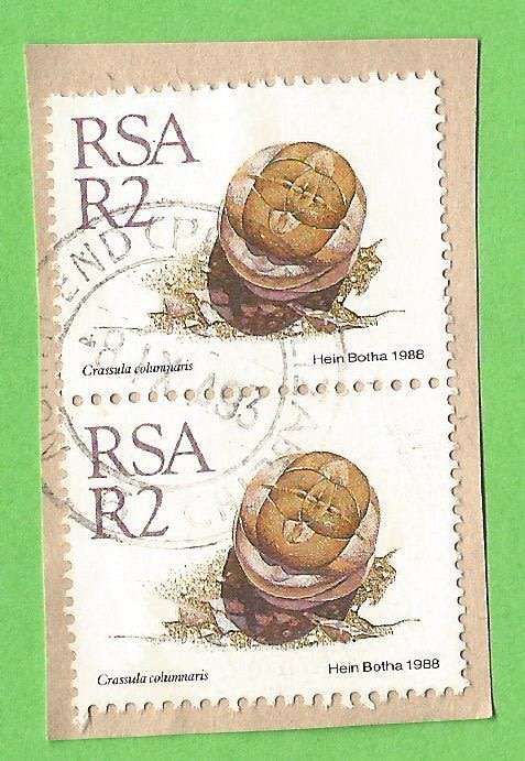 RSA-R2-Cancel-Used-On Paper-Thematic-Flora-Succulents
