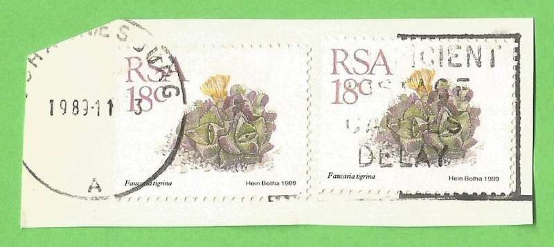 RSA-18c-Cancel-1989-Used-On Paper-Thematic-Flora-Succulents