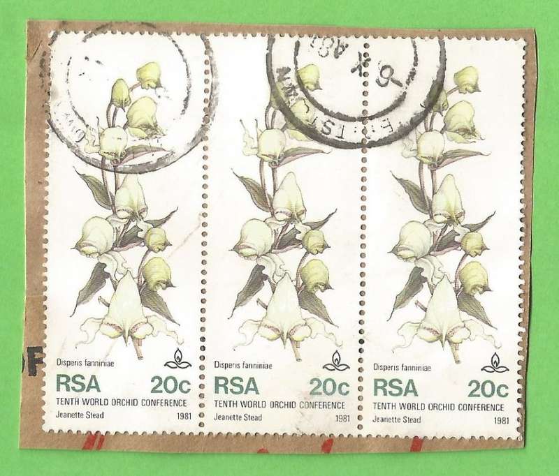 RSA-20c-Cancel-Used-On Paper-Thematic-Flora-Orchid