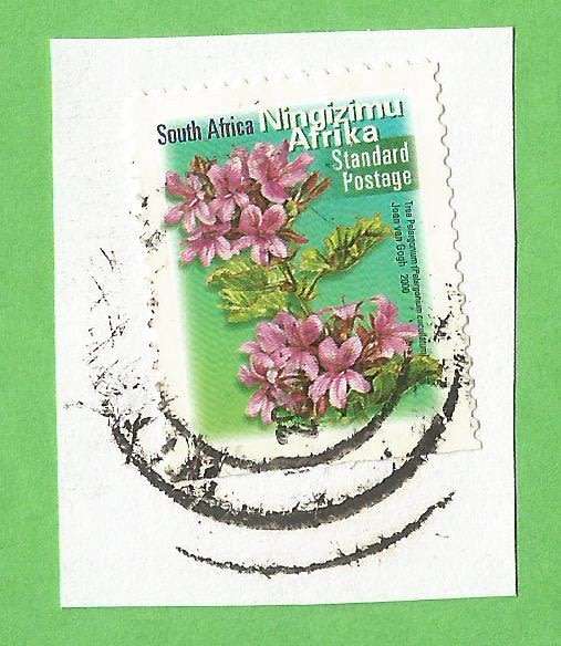 RSA-Cancel-On Paper-Thematic-Flora