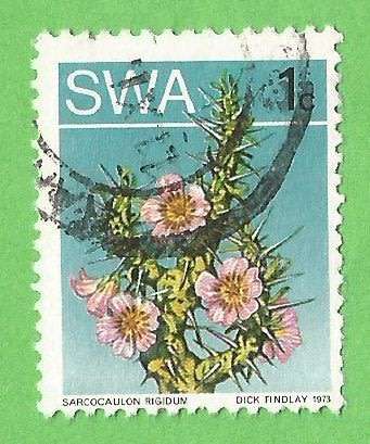 South West Africa-1c-Used-Cancel-Thematic-Flora
