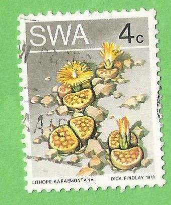 South West Africa-4c-Used-Cancel-Thematic-Flora