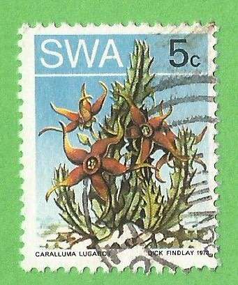 South West Africa-5c-Used-Cancel-Thematic-Flora