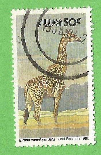South West Africa-50c-Used-Cancel-Thematic-Fauna-Wild Life