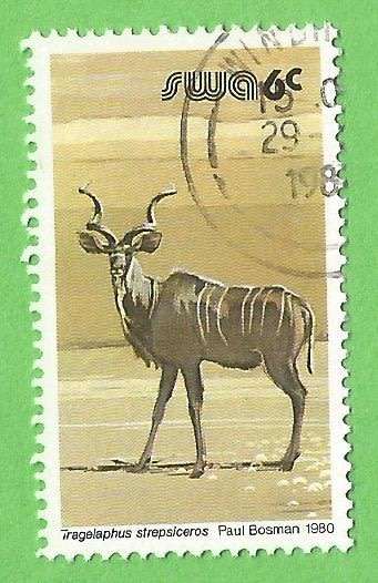 South West Africa-6c-Used-Cancel-Thematic-Fauna-Wild life