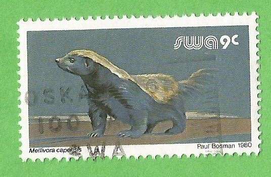 South West Africa-9c-Used-Cancel-Thematic-Fauna-Wild Life