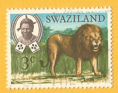 Swaziland-3c-Used-Cancel-Thematic-Fauna-Lion