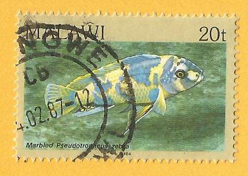 Malawi -Used-Cancel-Thematic-Fauna-Fish