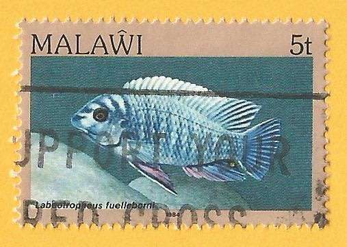 Malawi -Used-Cancel-Thematic-Fauna-Fish