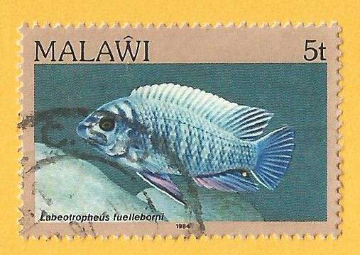 Malawi -Used-Cancel-Thematic-Fauna-Fish