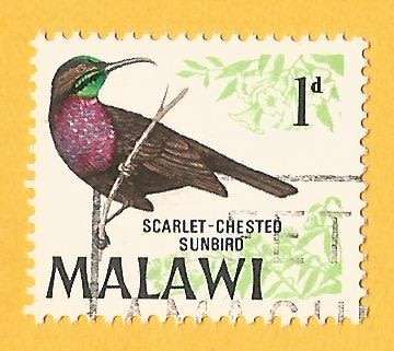 Malawi -1d-Used-Cancel-Thematic-Fauna-Birds