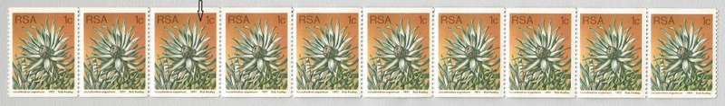 RSA-1977 SACC435a -Coil-1c-Protea-Strip of 10-MNH-Thematic-Flora-Protea-Variety-Lines