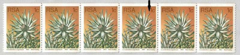 RSA-1977 SACC435a -Coil-1c-Protea-Strip of 6-MNH-Thematic-Flora-Protea-Variety-Smudge