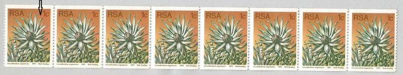 RSA-1977 SACC435a-Coil-1c-Protea-Strip of 8-MNH-Thematic-Flora-Protea-Variety-Smudge