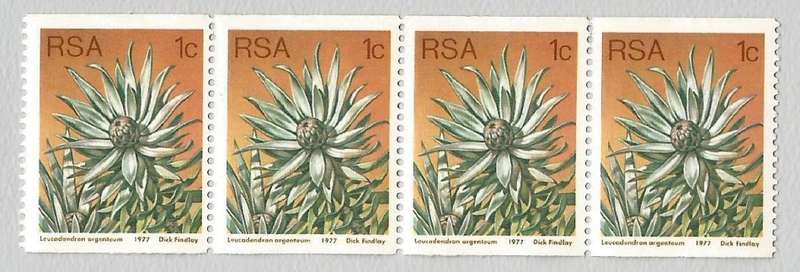 RSA-1977 SACC435a-Coil-1c-Protea-Strip of 4-MNH-Thematic-Flora-Protea