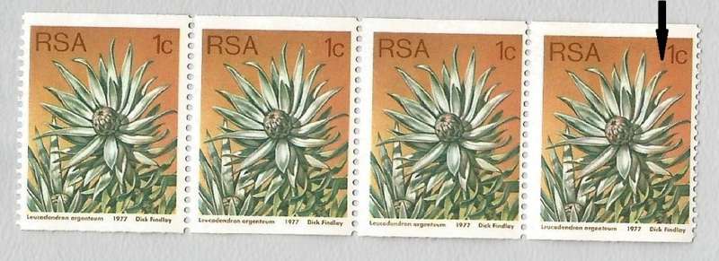 RSA-1977 SACC435a -Coil-1c-Protea-Strip of 4-MNH-Thematic-Flora-Protea-Variety-Smudge