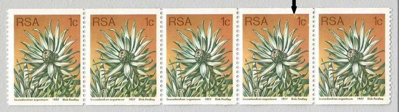 RSA-1977 SACC435a -Coil-1c-Protea-Strip of 5-MNH-Thematic-Flora-Protea-Variety-Yellow Spots