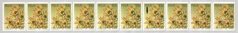 RSA-1977 SACC438 -Coil-No 250/255-10c-Protea-Strip of 10-MNH-Thematic-Flora-Protea-Variety-Smudge