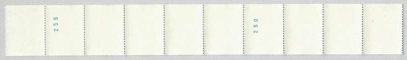 RSA-1977 SACC438 -Coil-No 250/255-10c-Protea-Strip of 10-MNH-Thematic-Flora-Protea-Variety-Smudge