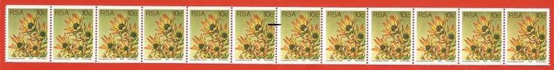 RSA-1977 SACC438 -Coil-No 280/285/290-10c-Protea-Strip of 12-MNH-Thematic-Flora-Variety-Smudge
