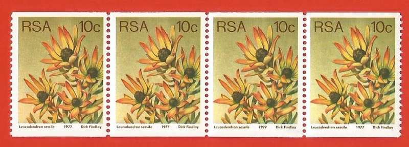 RSA-1977 SACC438d -Coil-10c-Protea-Strip of 4-MNH-Thematic-Flora-Protea