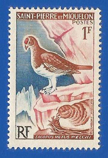 St  Pierre et Miquelon 1963 Birds (Lagopus mutus welchi) - MM- Thematic-Bird