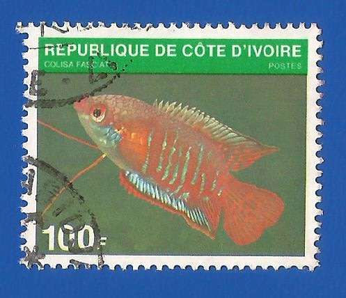 Ivory Coast 1980 Fish -Used-Thematic-Fauna-Fish