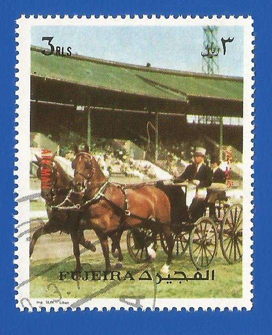 Middle East- Fujeira- Used- Thematic- Transport- Horses