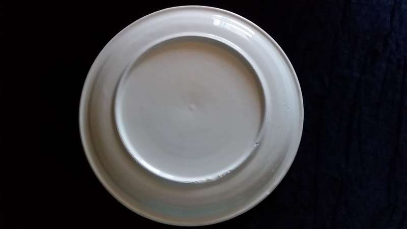 Plate- 1887-1987- A Century of Progress- Boksburg