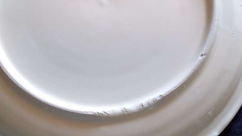 Plate- 1887-1987- A Century of Progress- Boksburg