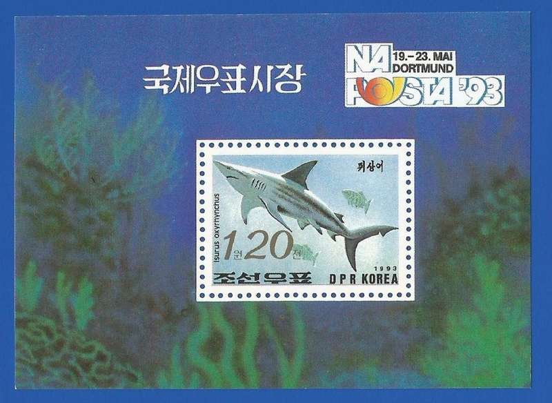 N. Korea- 1993- MNH- Miniature Sheet- Thematic- Fauna- Sea Life-Marine Life- Fish-Shark