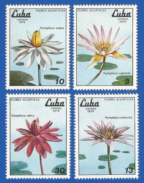 Cuba- 1979 Aquatic Flowers - MNH- Set-Thematic- Flora- Flowers