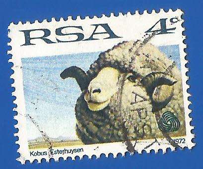 RSA- Used- 1972- 4c- Thematic- Fauna- Sheep