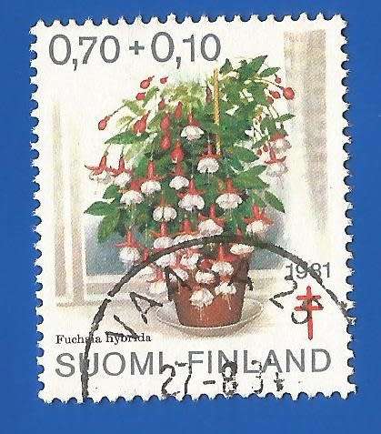 Finland 1981 The prevention of tuberculosis - Flowers -Used-Single Stamp- Thematic-Flora-Flowers