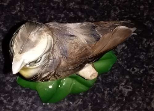 Capri - Hand pained bird with real feathers. Collectable - Ornament