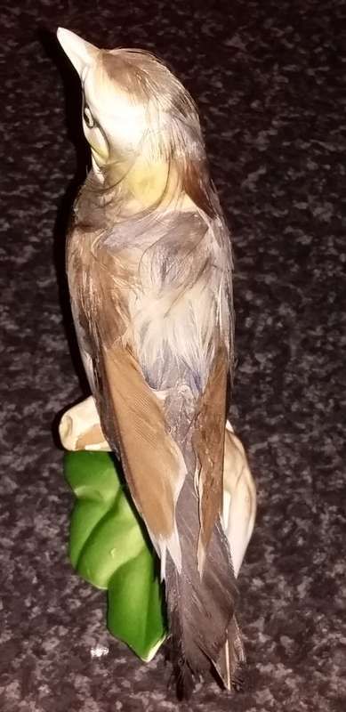 Capri - Hand pained bird with real feathers. Collectable - Ornament