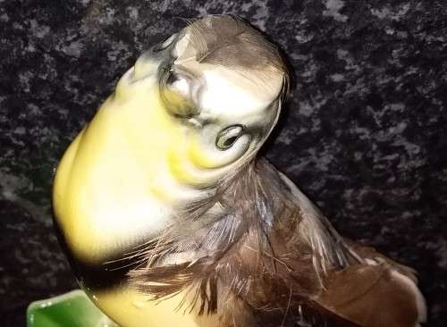 Capri - Hand pained bird with real feathers. Collectable - Ornament