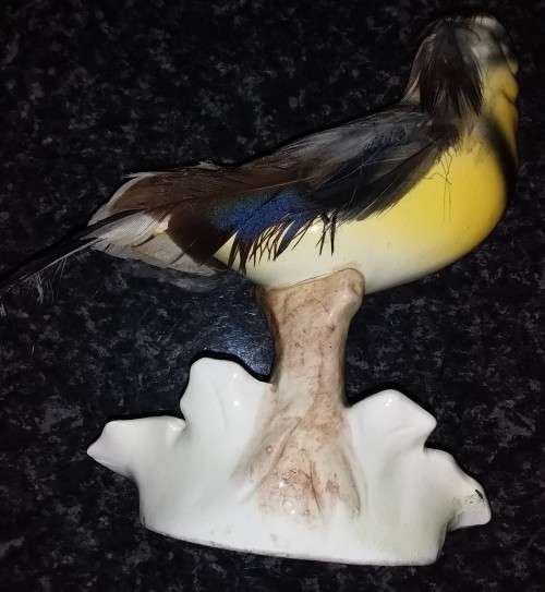 Capri - Hand pained bird with real feathers. Collectable - Ornament