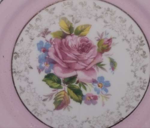 Oriental-Saucer-Coronet China-B.C.R. Pottery
