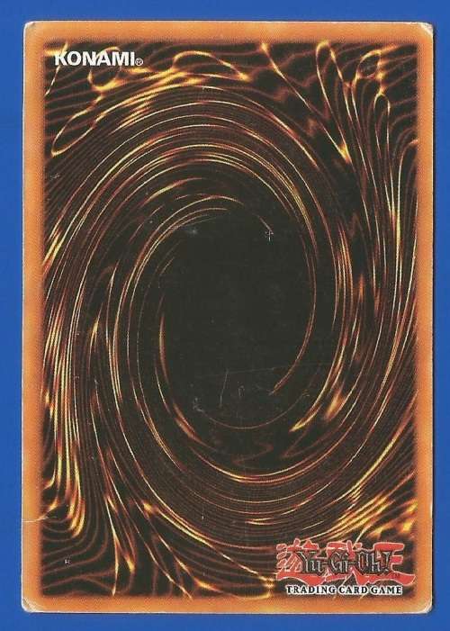 YU-GI-OH Trading Card Game-Konami-1996-1st Edition-Beaver Warrior-ATK-1200-DEF-1500