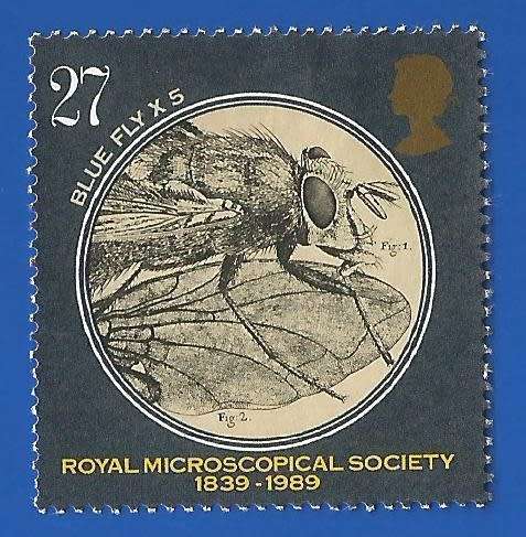 England 1989 Microscopy -Used-Cancel-Thematic-Symbol
