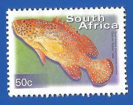 RSA-Used-Thematic-Fauna-Fish