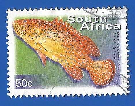 RSA-Used-Thematic-Fauna-Fish