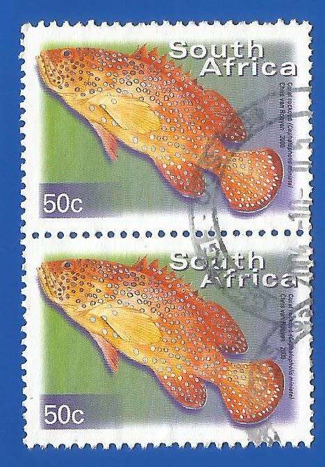RSA-Used-Thematic-Fauna-Fish