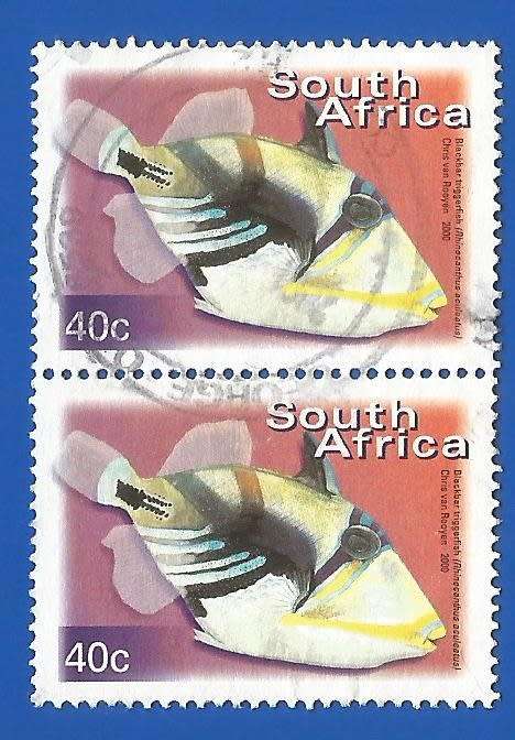 RSA-Used-Thematic-Fauna-Fish