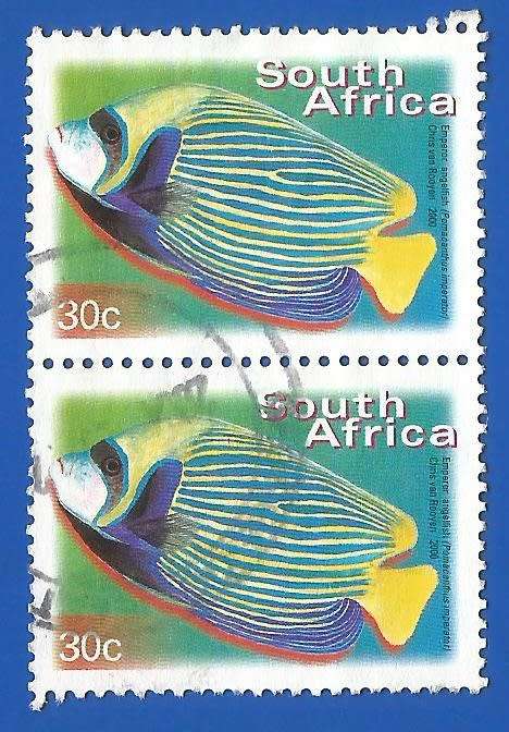 RSA-Used-Thematic-Fauna-Fish