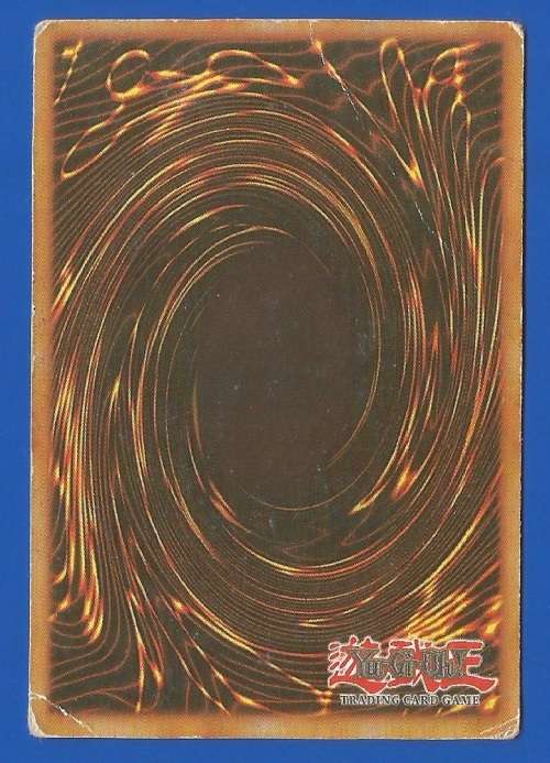 YU-GI-OH-Trading Card Game-Amazon Archer-ATK-1400-DEF-1000