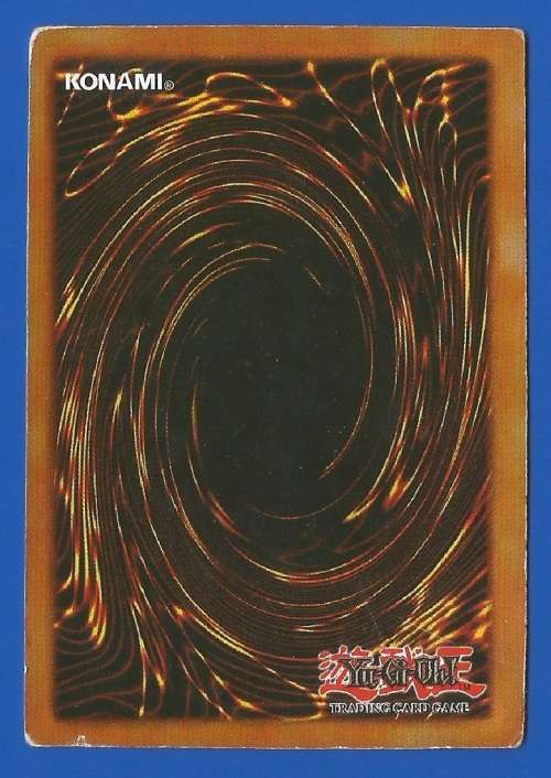 YU-GI-OH-Trading Card Game-Konami-Paladin Of White Dragon-ATK-1900-DEF-1200