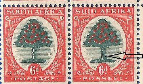 Union of South Africa-MNH-SACC60b -Variety-Thematic-Flora-Tree