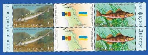 Moldova 2007 Preservation of Dniestr Fauna - Joint Issue with Uk-MNH-Gutter Pair-Thematic-Fauna-Fish